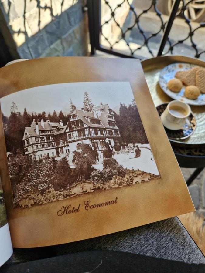 Villa Sinaia Veche Extérieur photo